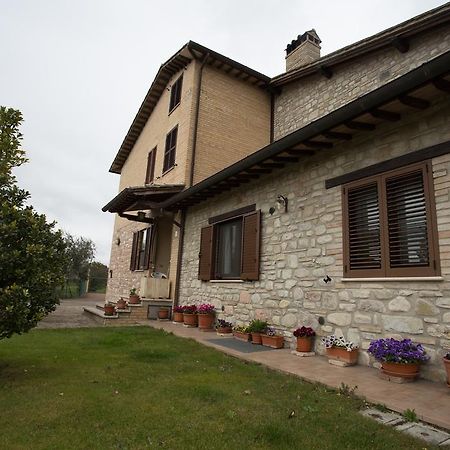Assisana Affittacamere Santa Maria Degli Angeli  Esterno foto