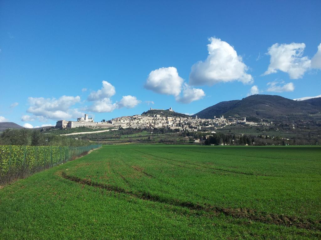 Assisana Affittacamere Santa Maria Degli Angeli  Esterno foto
