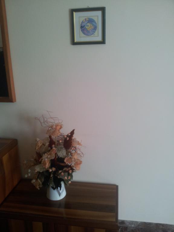 Assisana Affittacamere Santa Maria Degli Angeli  Esterno foto