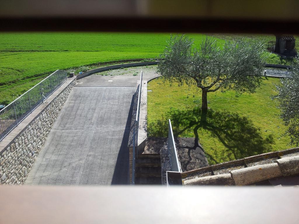 Assisana Affittacamere Santa Maria Degli Angeli  Esterno foto